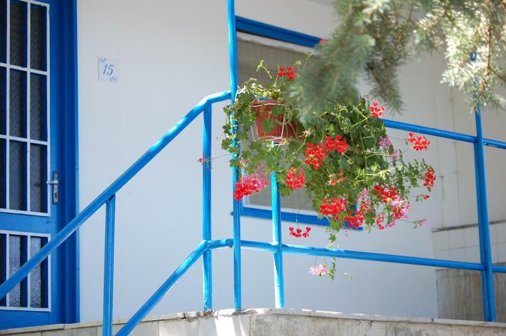 Комплекс Белите Къщи Shtarkelovo Gnezdo Bagian luar foto