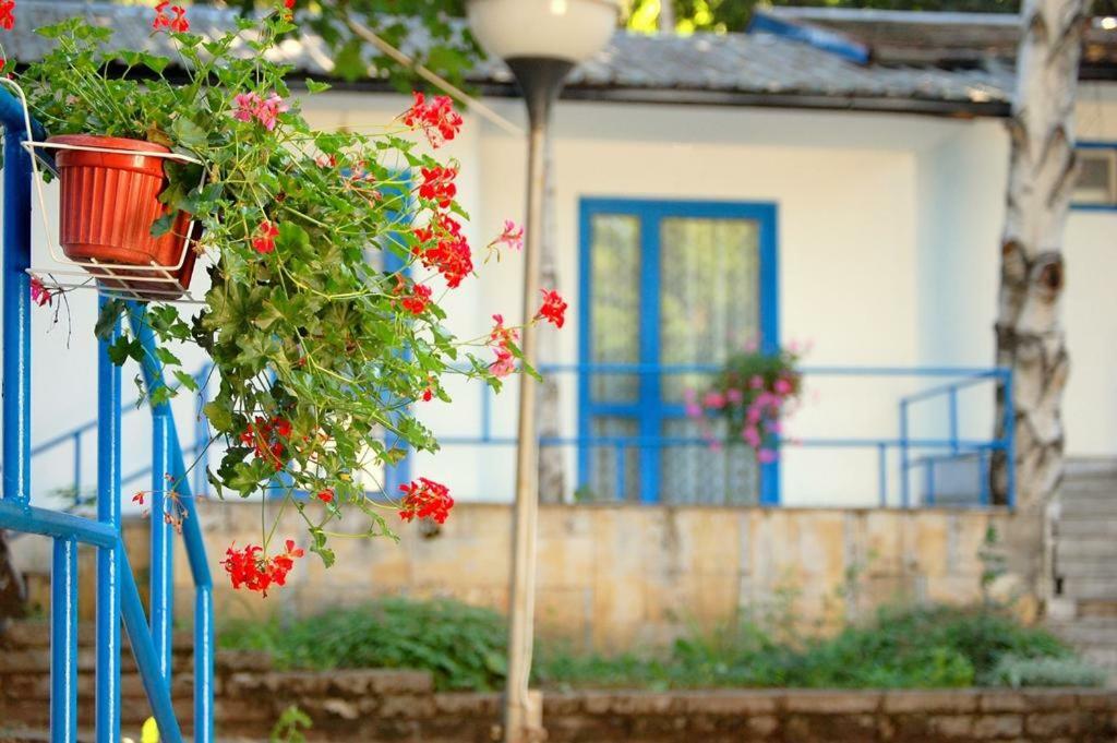 Комплекс Белите Къщи Shtarkelovo Gnezdo Bagian luar foto