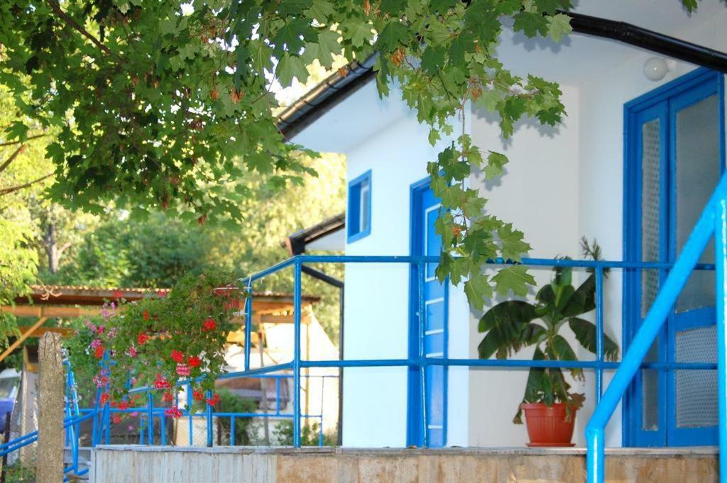 Комплекс Белите Къщи Shtarkelovo Gnezdo Bagian luar foto